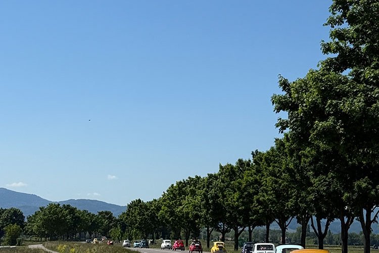 © FIAT 500 et dérivés CLUB DE FRANCE <strong></strong><small>© FIAT 500 et dérivés CLUB DE FRANCE</small>