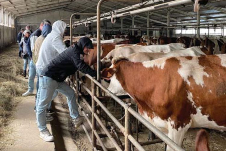 © FIAT 500 et dérivés CLUB DE FRANCE <strong></strong><small>© FIAT 500 et dérivés CLUB DE FRANCE</small>