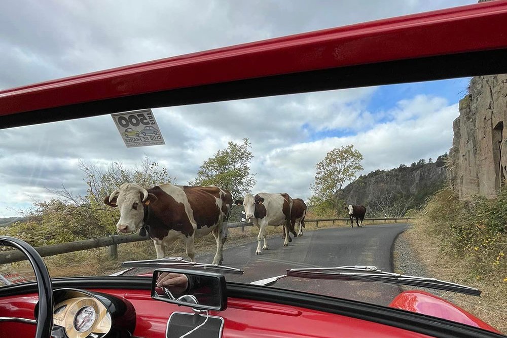 © FIAT 500 et dérivés CLUB DE FRANCE <strong></strong><small>© FIAT 500 et dérivés CLUB DE FRANCE</small>