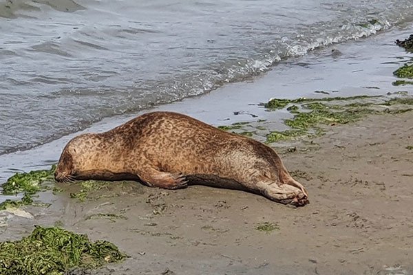 Sur la Rance © FIAT 500 et dérivés CLUB DE FRANCE <strong>Sur la Rance</strong><small>© FIAT 500 et dérivés CLUB DE FRANCE</small>